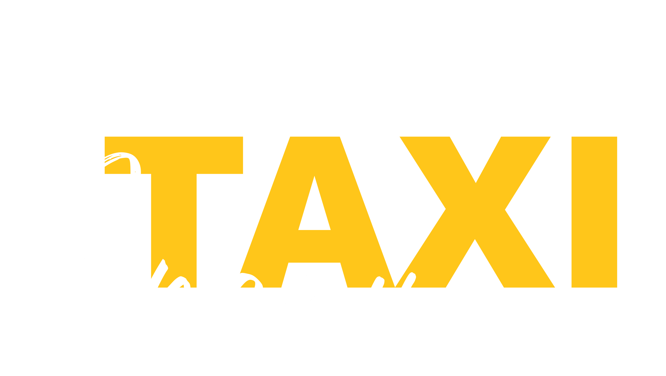 Logo blanc des taxis Pineau